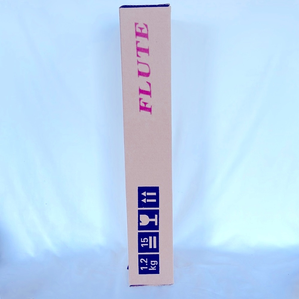 NIB  Hisonic Signature Series 2810N Closed 16-Hole Flute - Picture 8 of 12